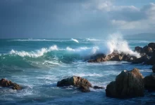 12 Powerful Tips for Creating Emotional Midjourney Prompts (With Examples!)-FoxDoo Technology