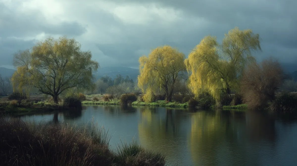 Weeping willows whisper in wet winds, stormy skies looming, painterly textures.