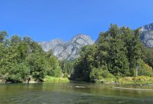 š Back from Bella Coolaā7 Days, RV Adventures & Bear Encounters š»-FoxDoo Technology